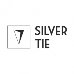 Silver Tie