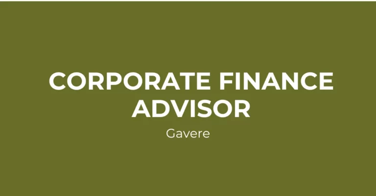 Corporate Finance Advisor